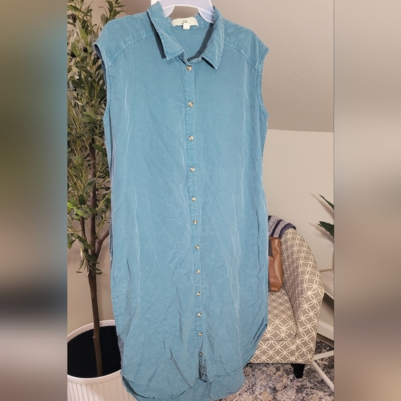 Thread & Supply Sleeveless Buttin Down Shirt Dress - Picture 1 of 4